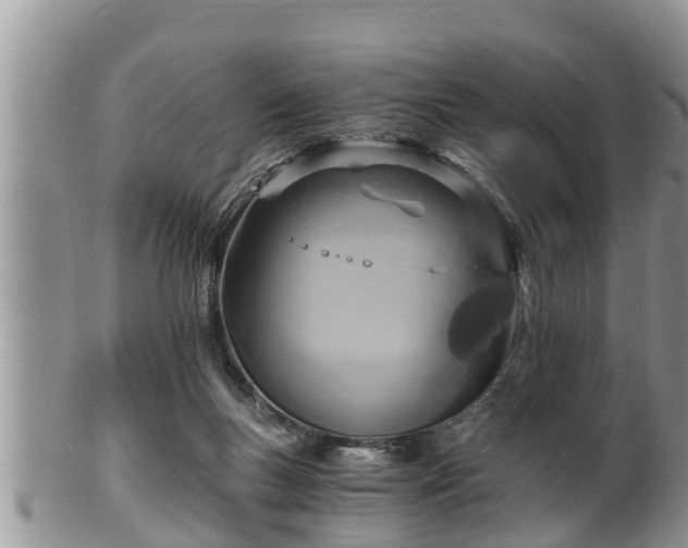 X0000102300167200808011548