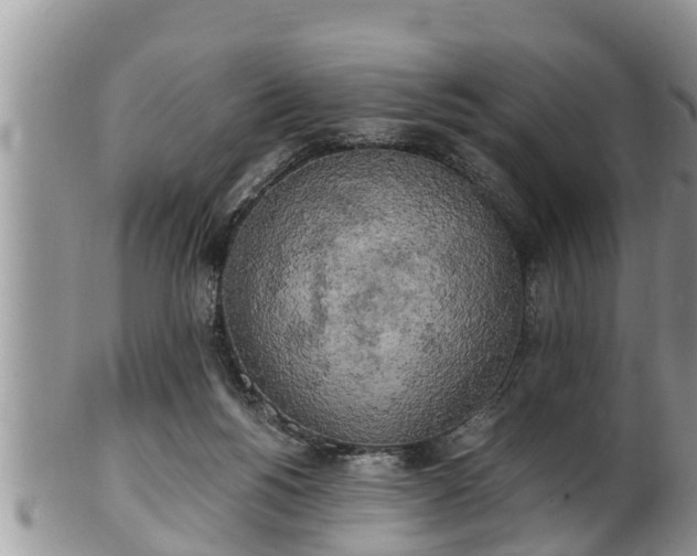 X0000102300168200808011548