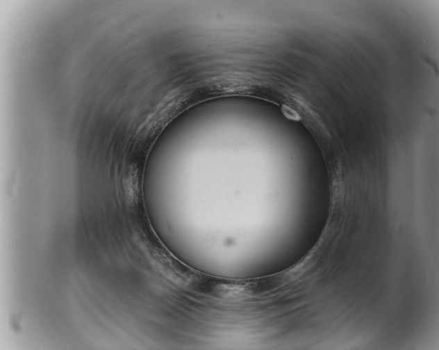 X0000102300170200808011548