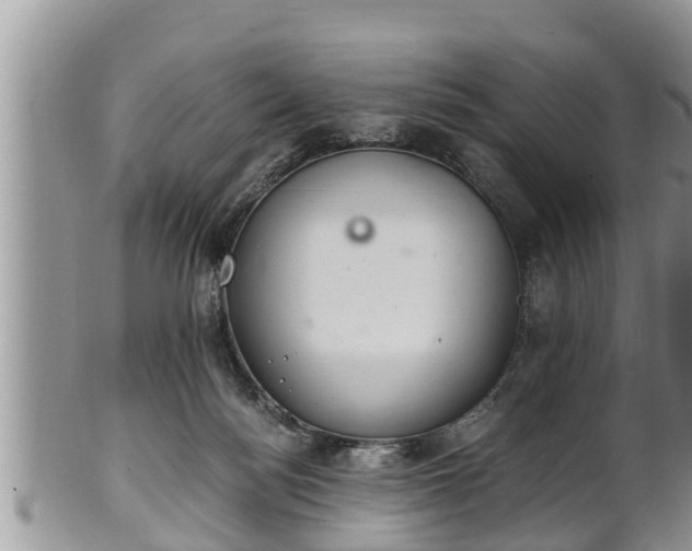 X0000102300172200808011548