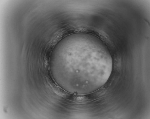 X0000102300173200808011548