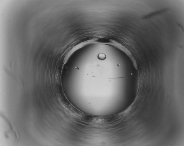 X0000102300174200808011548