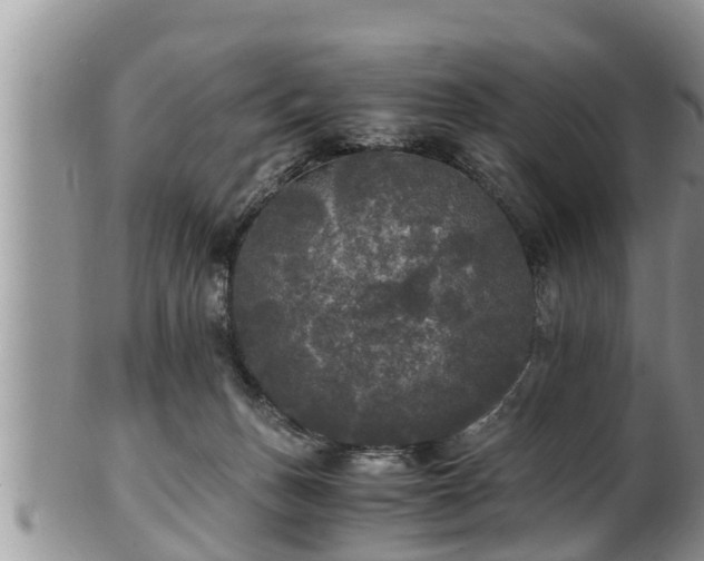 X0000102300175200808011548