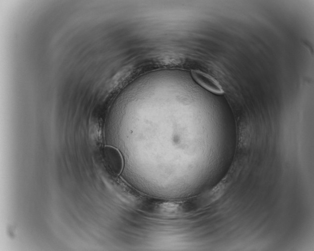 X0000102300176200808011548