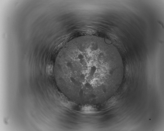 X0000102300177200808011548