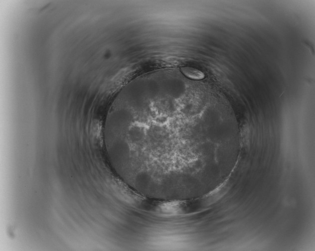 X0000102300178200808011548