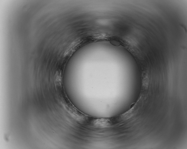 X0000102300179200808011548