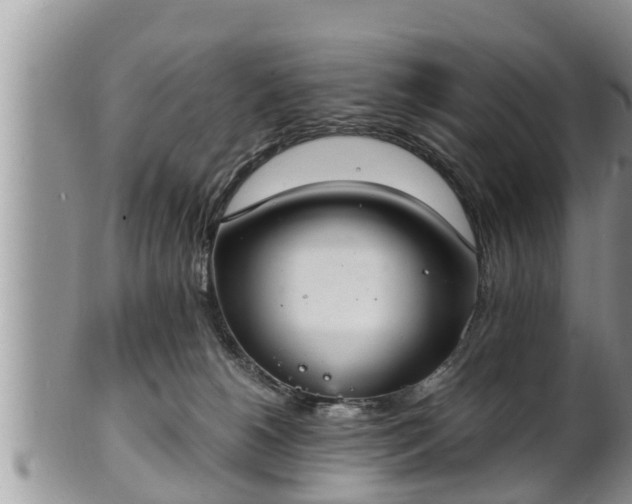 X0000102300180200808011548