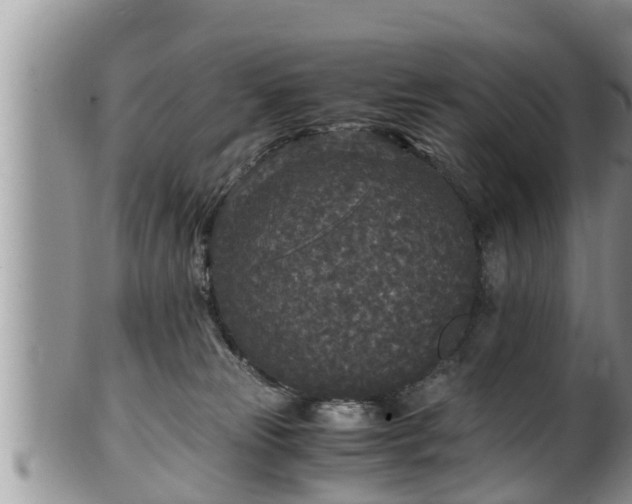 X0000102300181200808011548