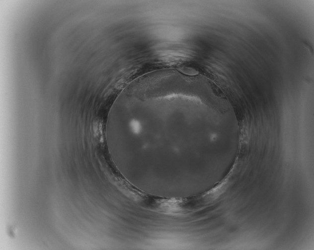 X0000102300182200808011548