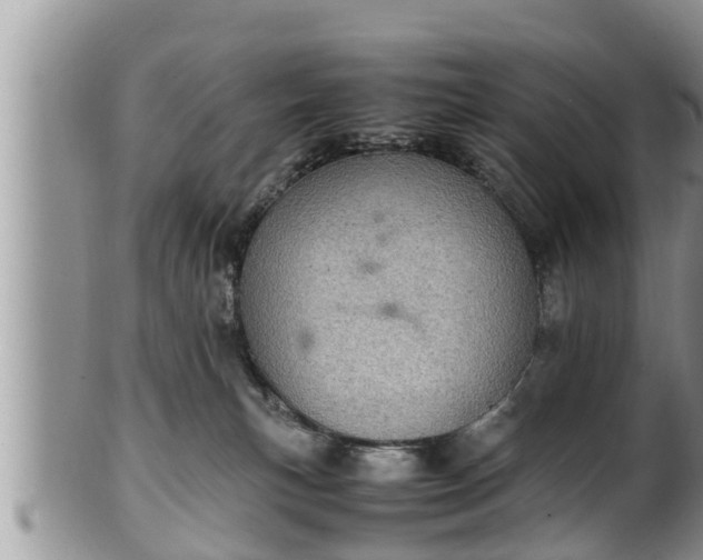 X0000102300183200808011548