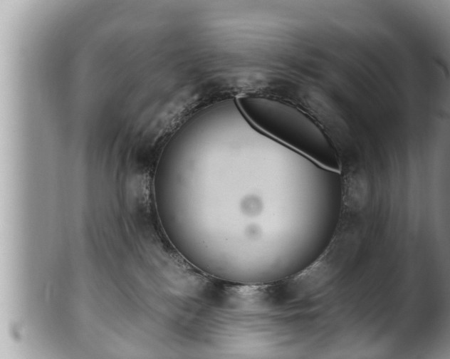 X0000102300184200808011548