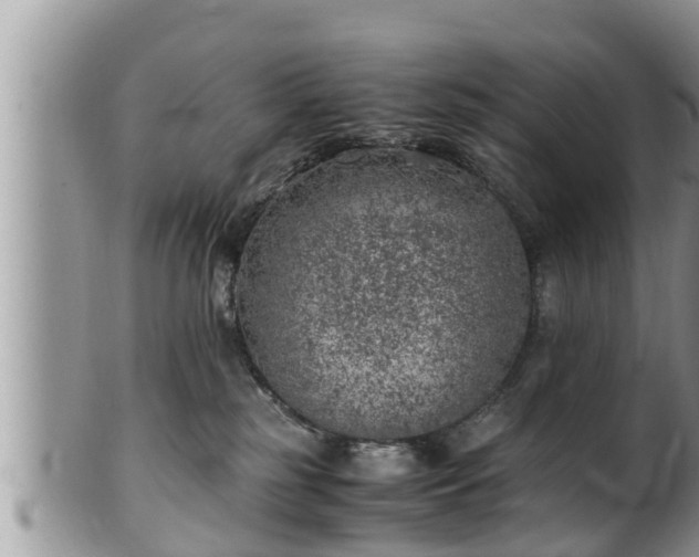 X0000102300185200808011548