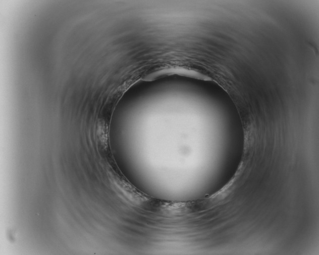 X0000102300186200808011548