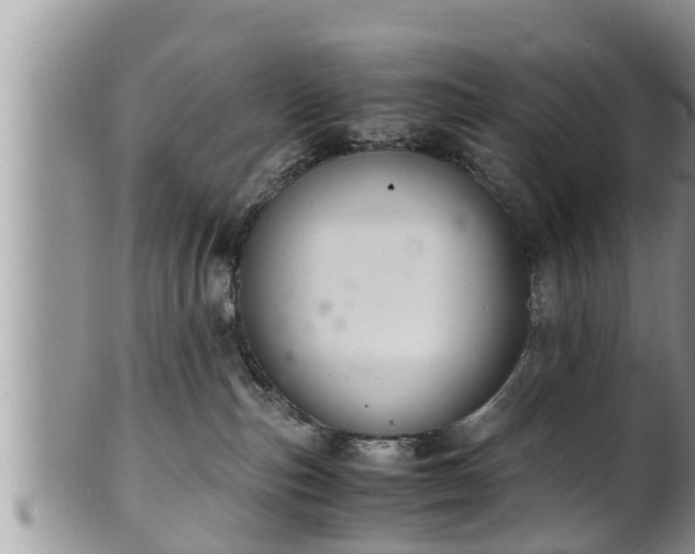 X0000102300187200808011548