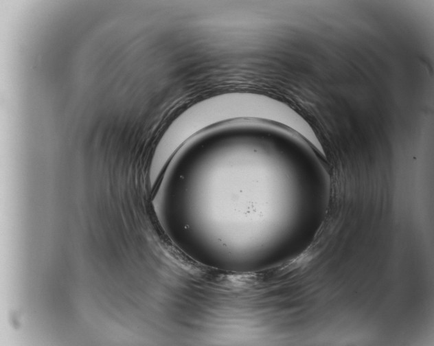 X0000102300188200808011548