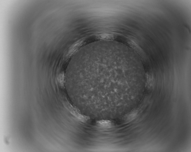 X0000102300189200808011548