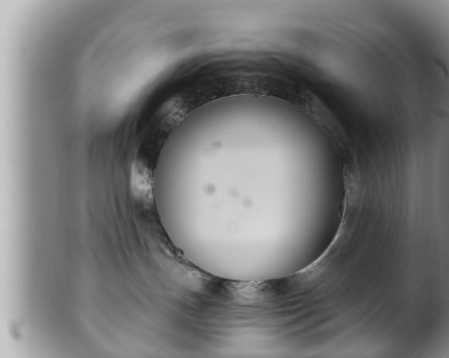 X0000102300191200808011548