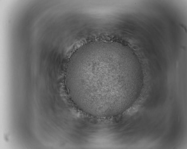 X0000102300192200808011548