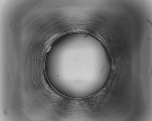 X0000102300193200808011548