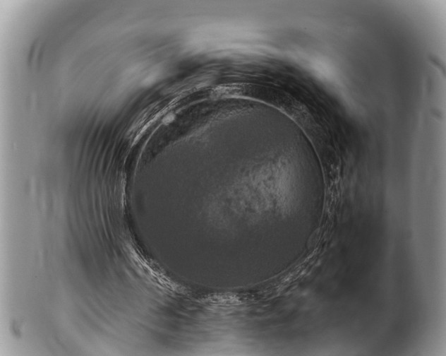 X0000102300194200808011548