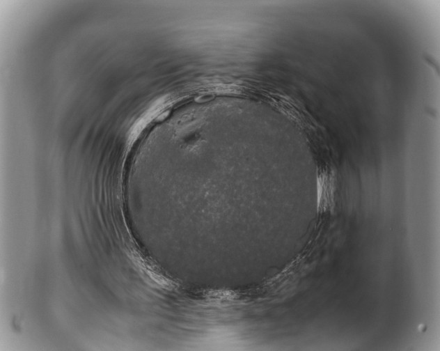 X0000102300195200808011548