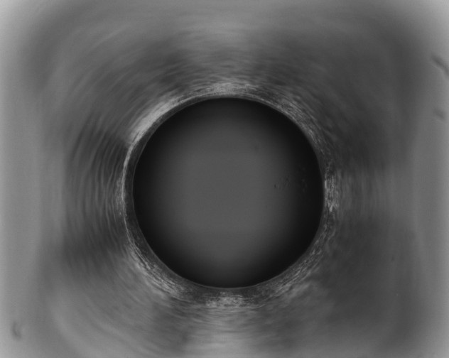 X0000102300196200808011547