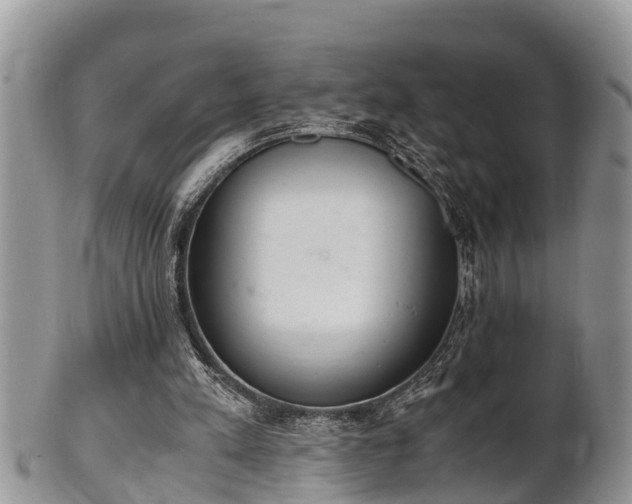 X0000102300197200808011547