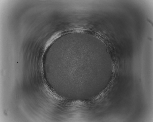 X0000102300198200808011547