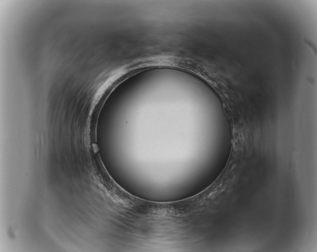 X0000102300200200808011547