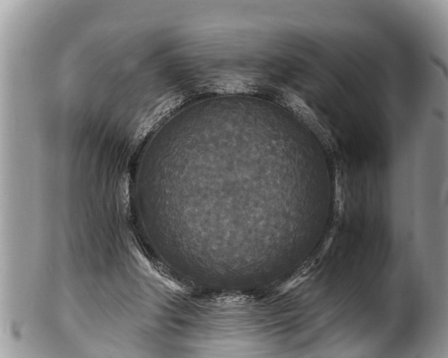 X0000102300202200808011547