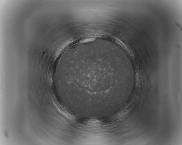 X0000102300203200808011547