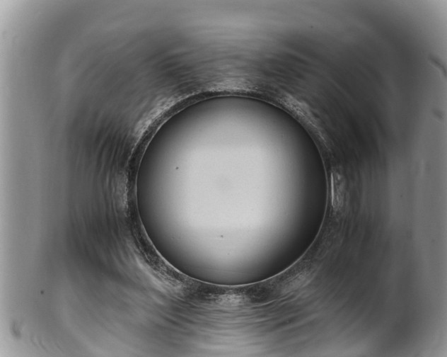 X0000102300204200808011547