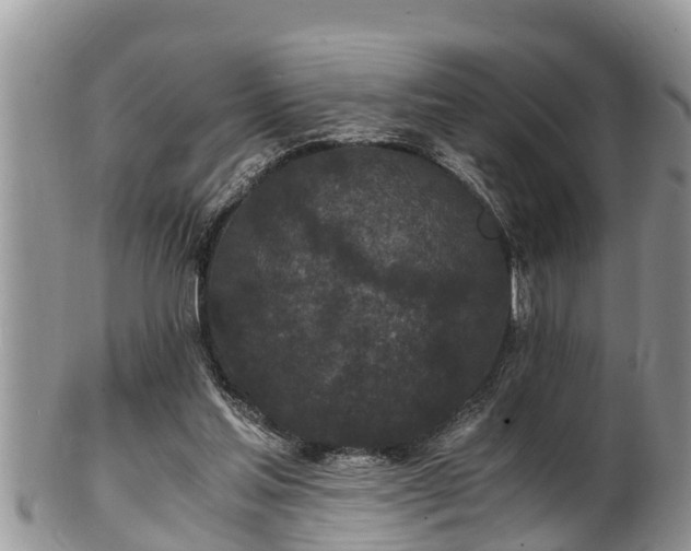 X0000102300205200808011547