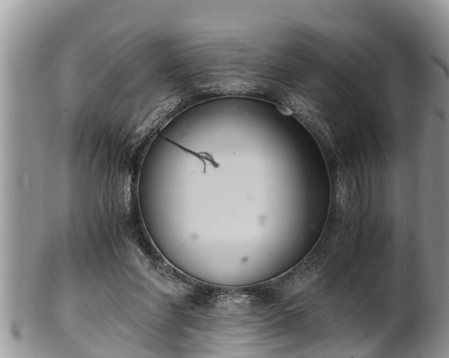 X0000102300206200808011547