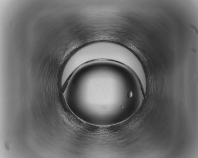 X0000102300207200808011547