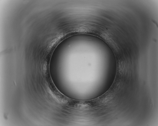 X0000102300208200808011547