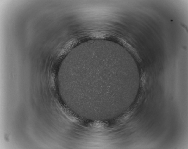 X0000102300209200808011547