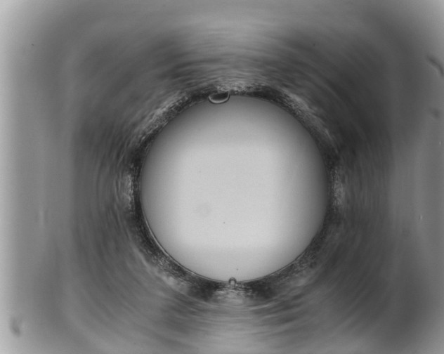 X0000102300211200808011547