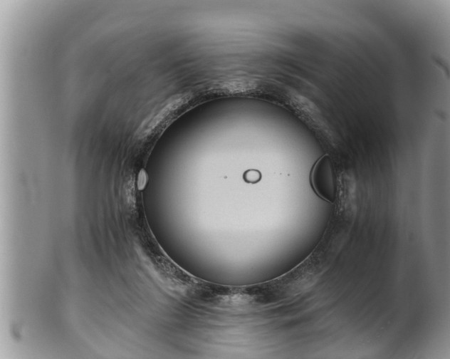 X0000102300212200808011547