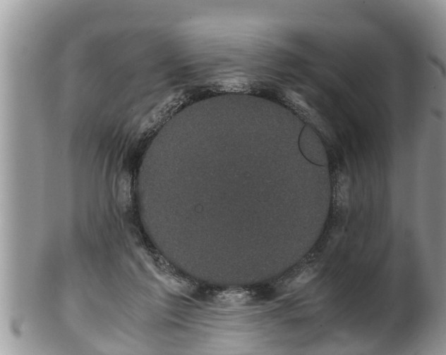 X0000102300213200808011547