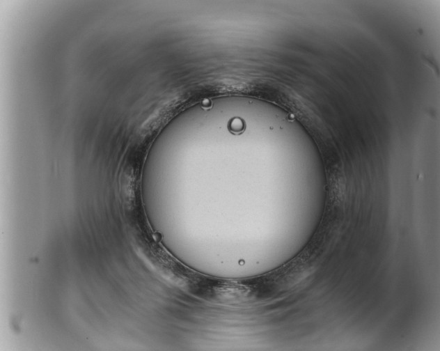 X0000102300215200808011547