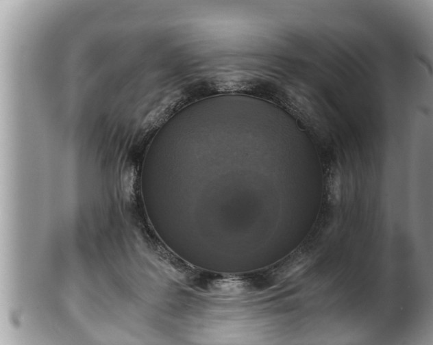 X0000102300219200808011547