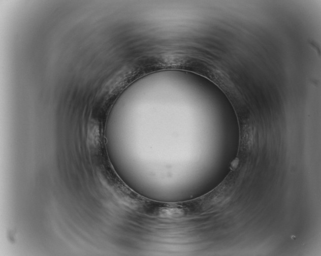 X0000102300220200808011547