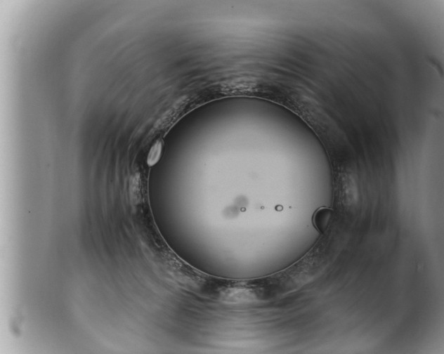 X0000102300224200808011547