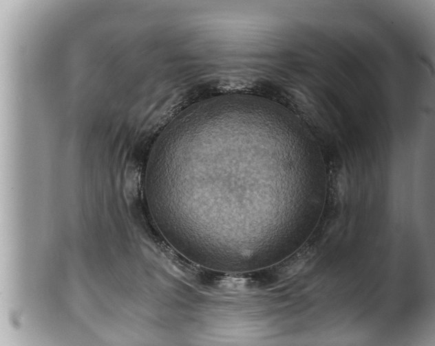 X0000102300227200808011547