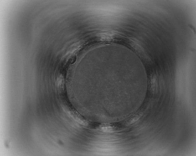 X0000102300228200808011547