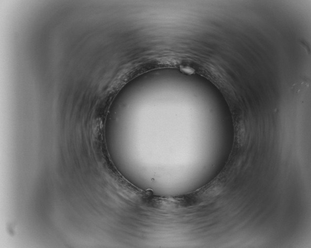 X0000102300229200808011547