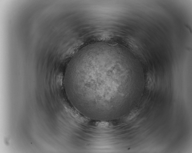 X0000102300230200808011547