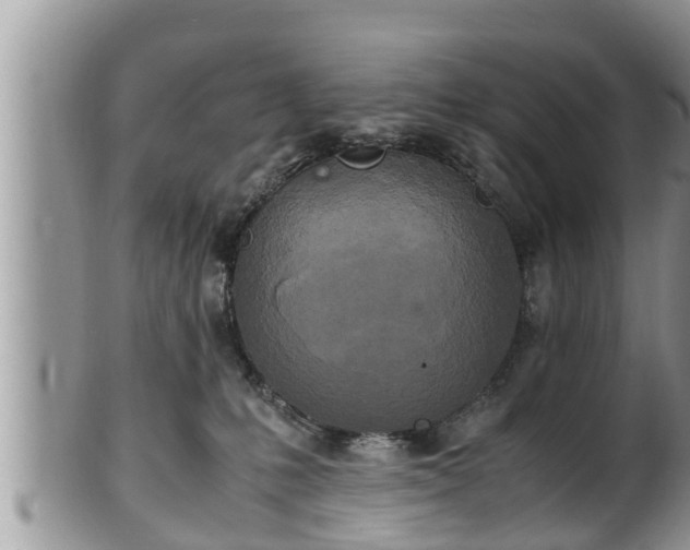 X0000102300231200808011547